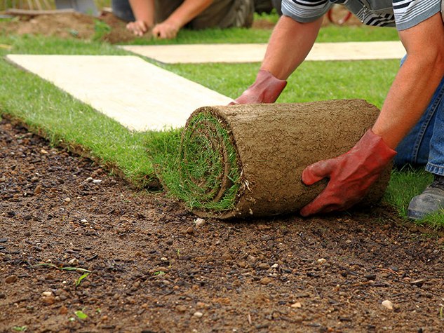Rollrasen verlegen in Regensburg durch Fachbetrieb für Garten- und Landschaftsbau